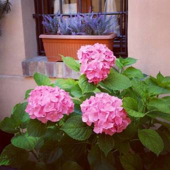 Hotel Borgo Antico