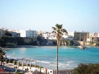 Hotel Alb�nia