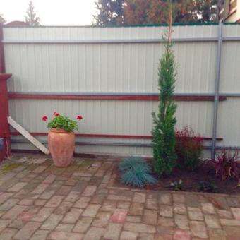 Ver fotos