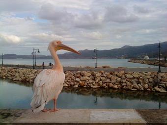 Ver fotos
