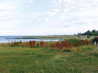 Holiday Home �sterbogatan Borgholm