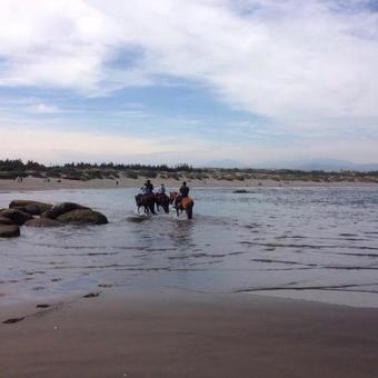 Ver fotos