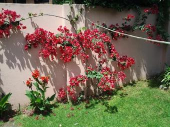 Bed & Breakfast Familia San Mart�n