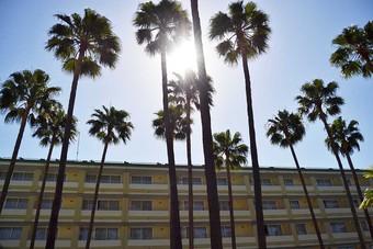 Apartamentos Playa Del Sol Sólo Adultos