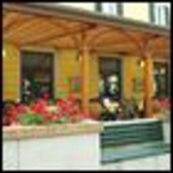Hotel Salus