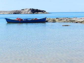 Ver fotos