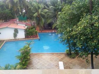 Ver fotos