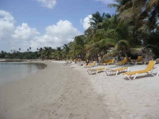 Hotel Coco Reef
