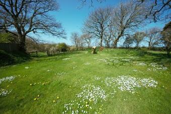 The Nogg Cottages