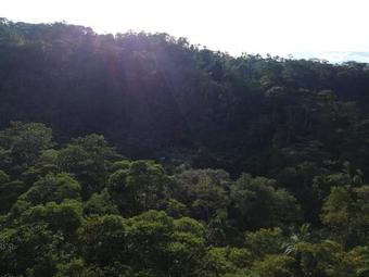 Kuyana Amazon Lodge