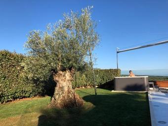 Villa Petra