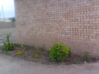 Apartamento Fahms Self Catering
