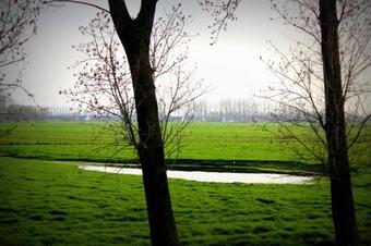 Cambiare Hoeve
