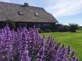 Hostal Tiiupesa Guest House