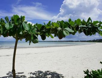Hotel Pongwe Bay Resort