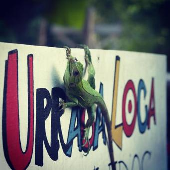 La Urraca Loca Hostel