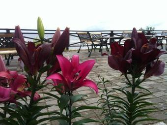 Hotel Villa Anna