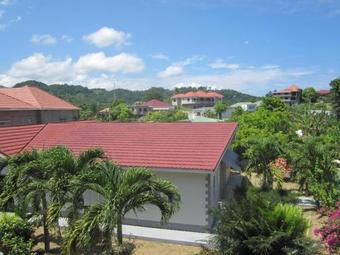 Fairy Hill Palms