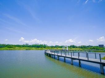 Hotel Cozi Wetland
