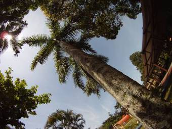 Hotel Ilha Morena