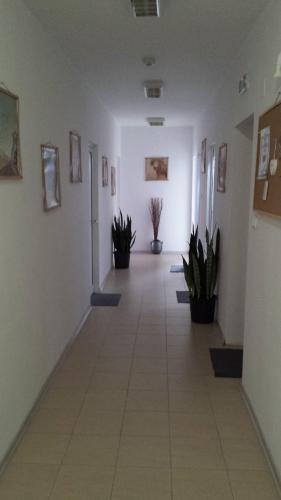 Hostal Rooms Lagat
