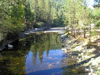 Yosemite Lakes Hillside Yurt 2