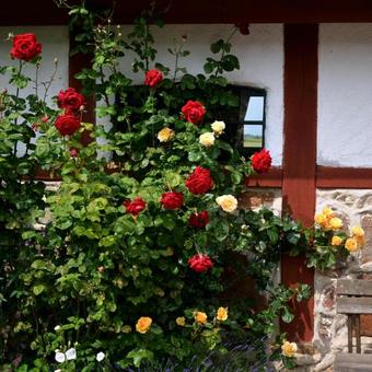 Bed & Breakfast Torsborgs G�rd