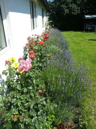 Borrby B&B
