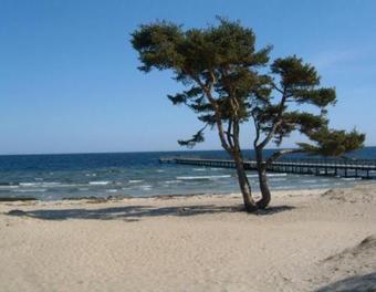 Hotel �hus Seaside