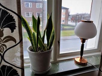 Motel Rum I Centrum