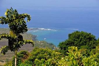 Bed & Breakfast Ka'awa Loa Plantation