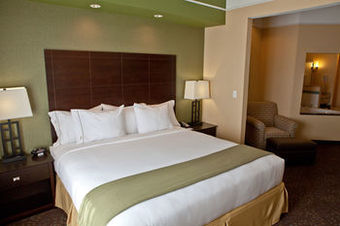 Holiday Inn Express Hotel & Suites Lansing-dimondale