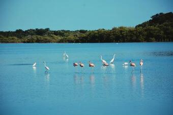 Awatawaa Ecolodge