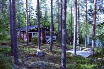 Minttu