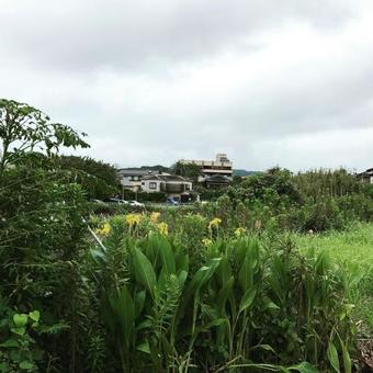 Chikurakan