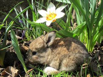 Agroturismo Wiesenbauer - Schl�gl Anton