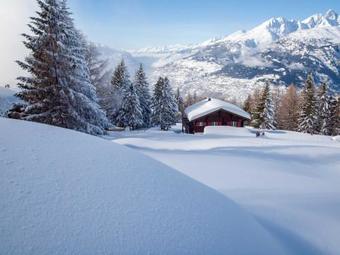 Chalet Bergfink