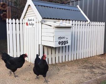 Thelma's Temora