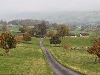 5 The Granary
