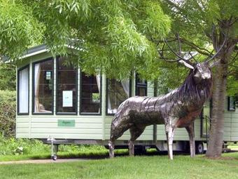 The Callow Lodge