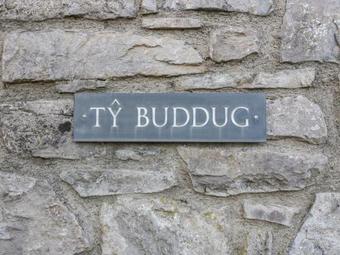 Ty Buddug
