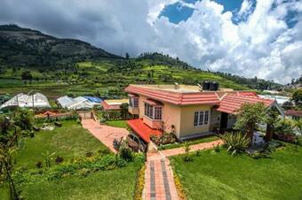 Nestcoonoor