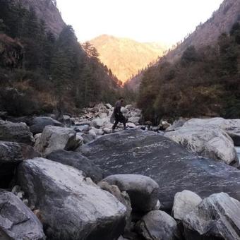Backpacker's Nest