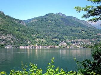 Locazione Turistica Casa Pineta (plz493)