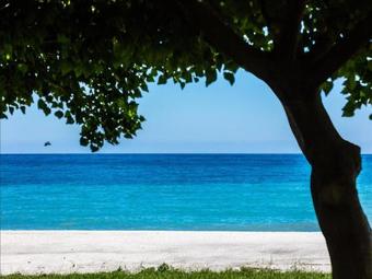 Seafront Villa In Calabria With Garden