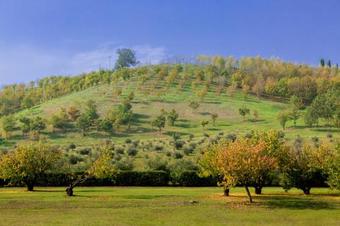 Bed & Breakfast Ca' Malvasia
