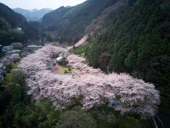 Oukai Villa Izumi