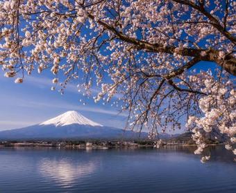 Hotel Mystays Fuji Onsen Resort