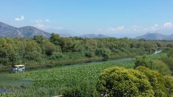 Hostal Guesthouse Mala Venecija