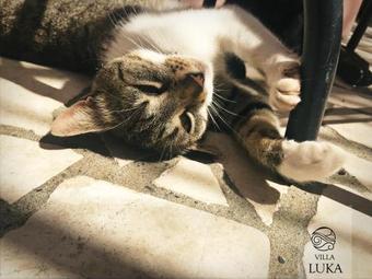 Ver fotos